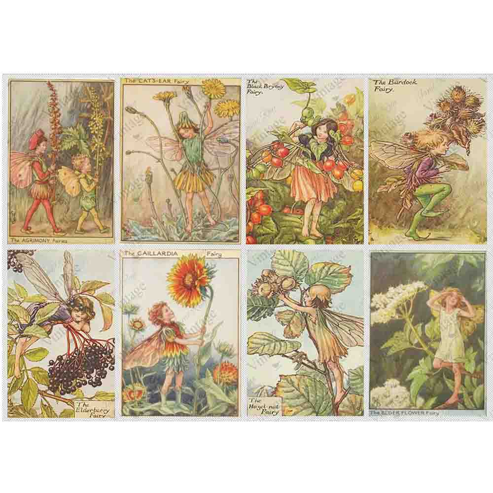 Forest Fairies A4 Rice Paper - JRV