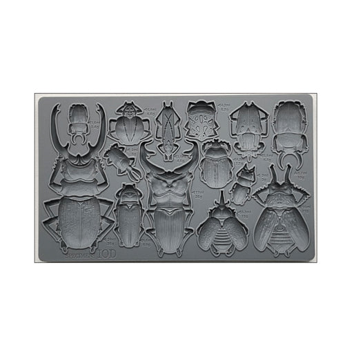 IOD SPECIMENS Decor Mould by Iron Orchid Designs