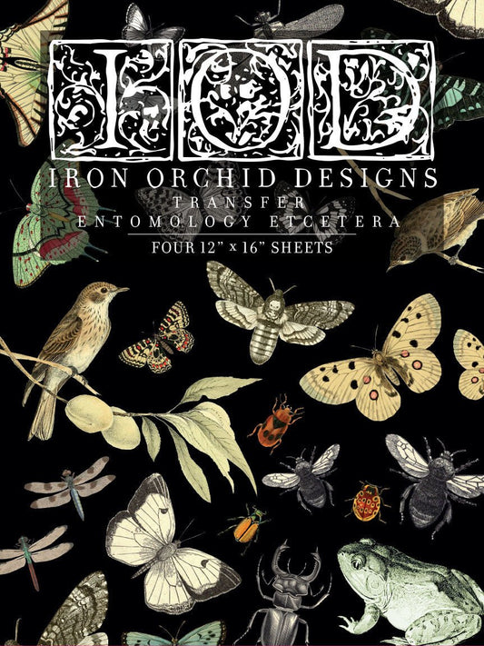 IOD ENTOMOLOGY ETCETERA Decor Transfer by Iron Orchid Designs-Iron Orchid Designs-Transfer-Stockton Farm