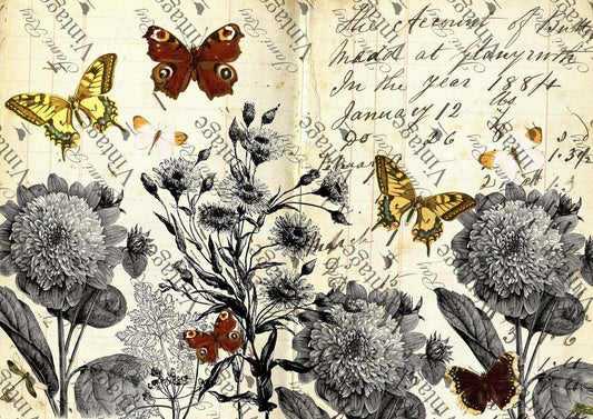 Monarchromatic Decoupage Paper by Jami Ray Vintage