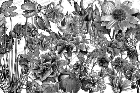 Black and White Floral Decoupage Paper by JRV