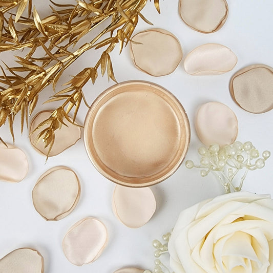 Blush Lux Metallic Paint - Paint Couture