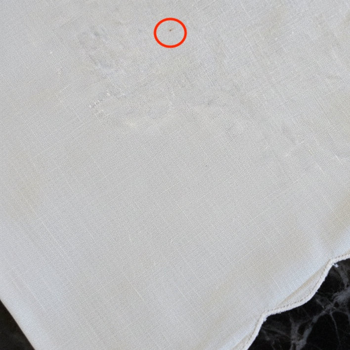 Vintage Brugge Lace Napkins Set of 10 | Ivory 15" French Country Decor