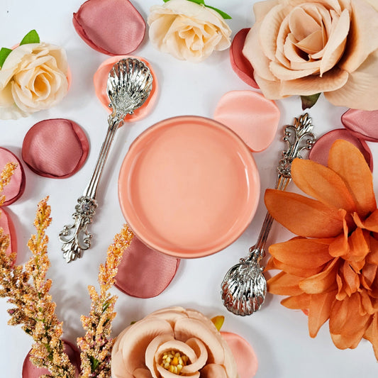 Coral Passion Acrylic Mineral Paint - Paint Couture