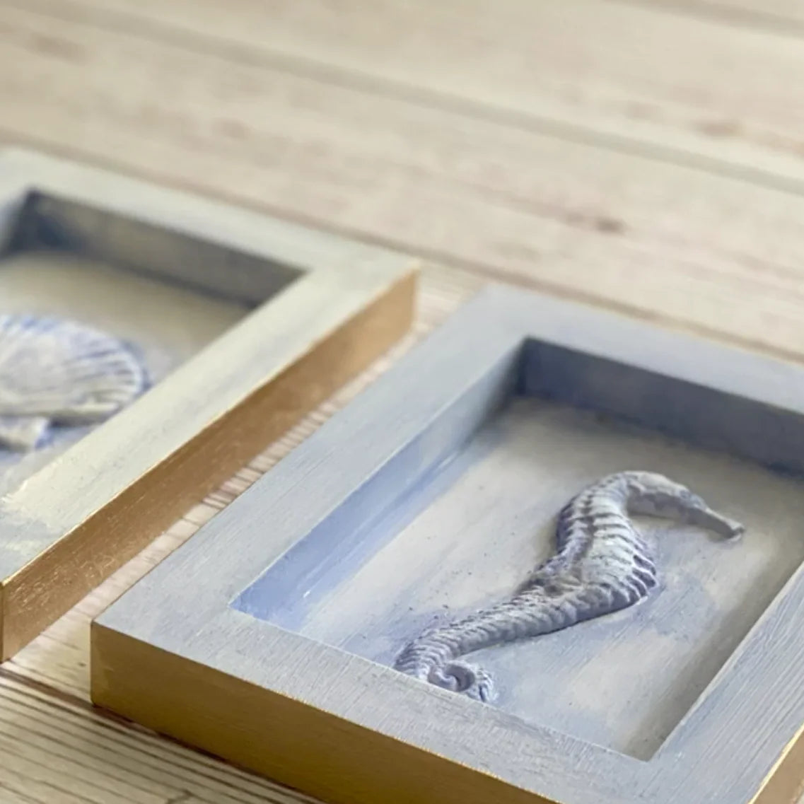 IOD Sea Shells Decor Mould - Iron Orchid Designs