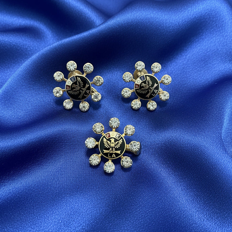 Vintage Fraternal Order of Eagles Ladies Auxiliary Pin & Earring Set