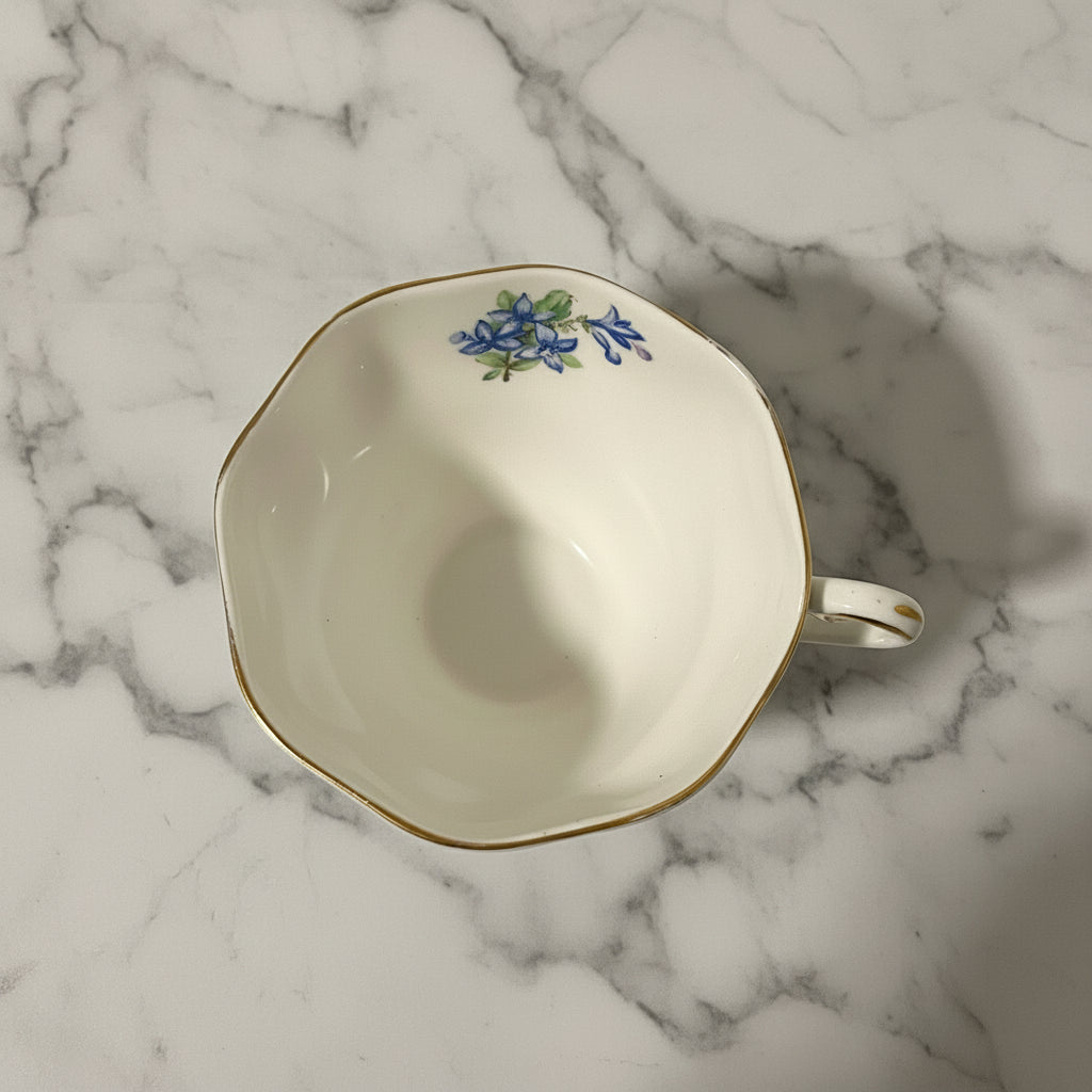 Vintage Foley Forget-Me-Not Tea Cup