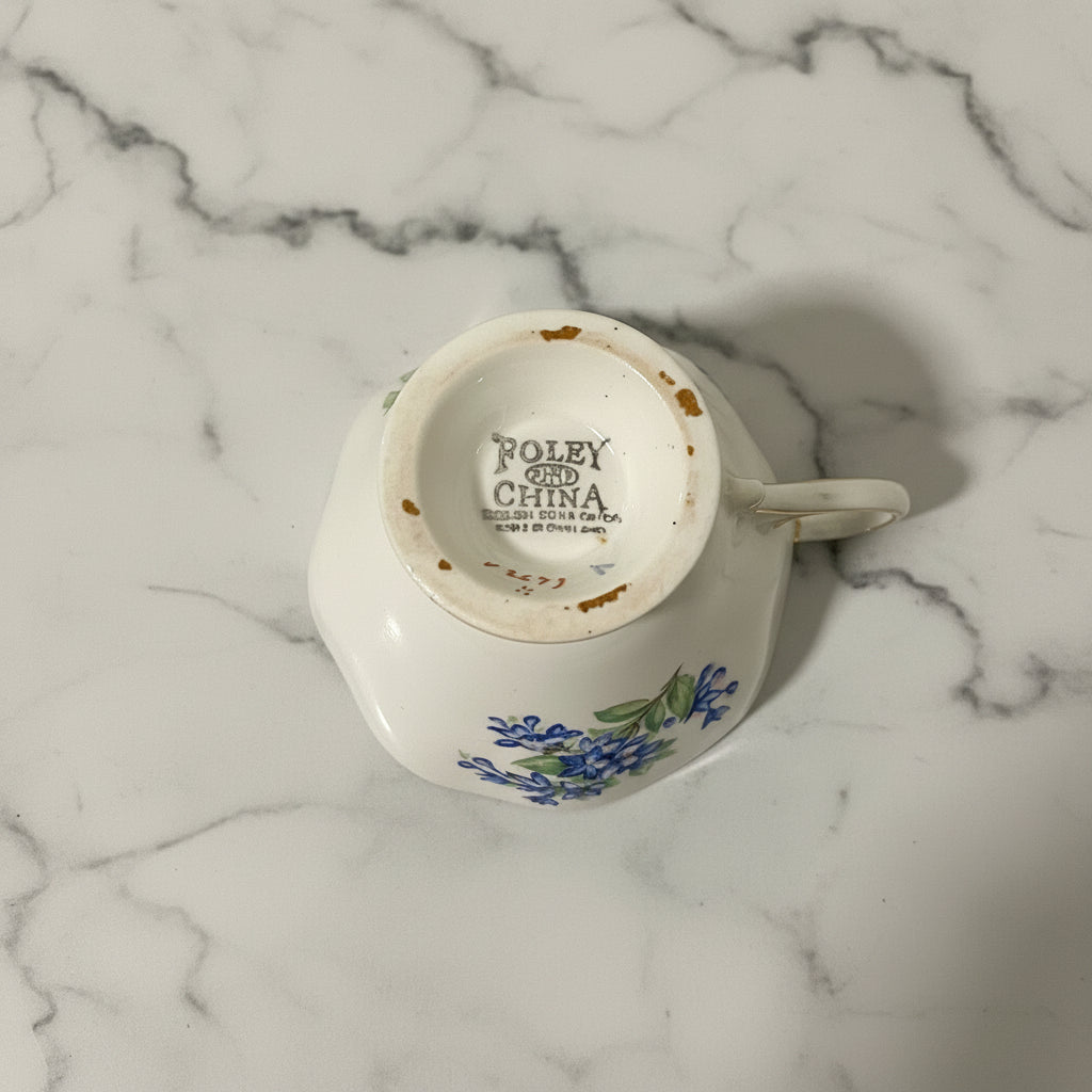 Vintage Foley Forget-Me-Not Tea Cup