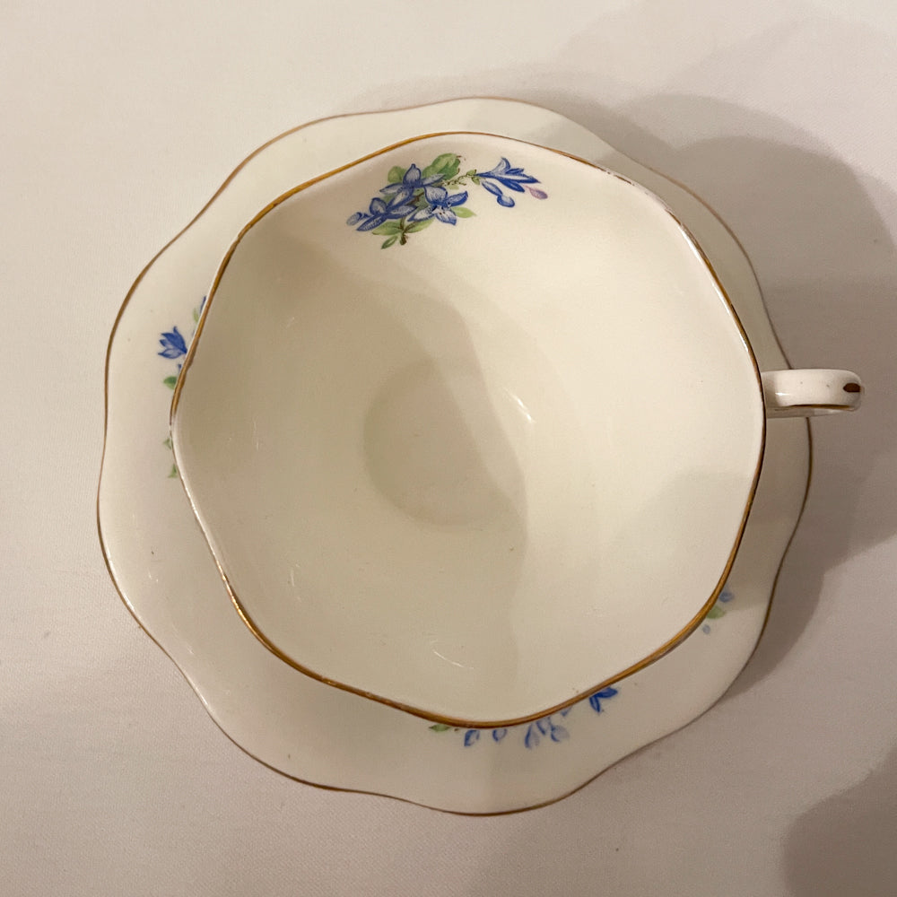 Foley Forget-Me-Not Tea Set Bone China - England