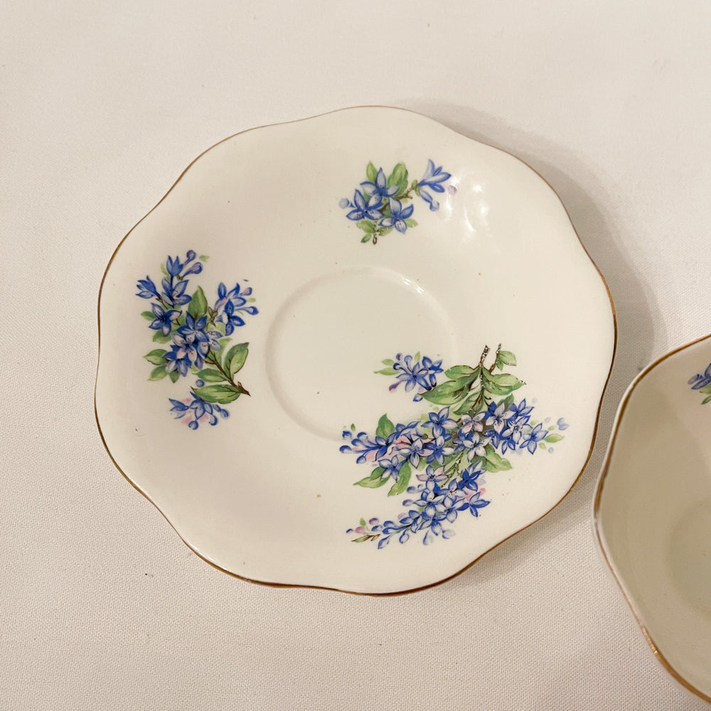 Foley Forget-Me-Not Tea Set Bone China - England