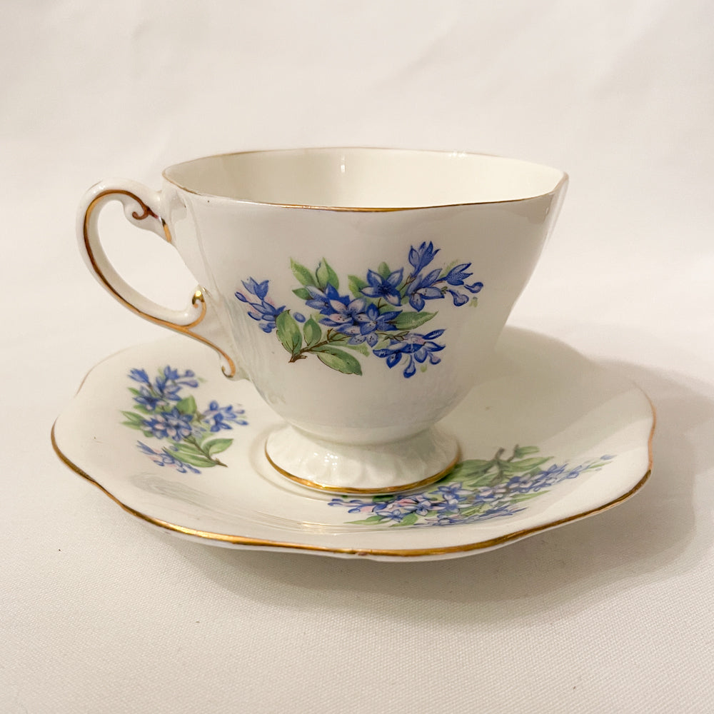 Foley Forget-Me-Not Tea Set Bone China - England