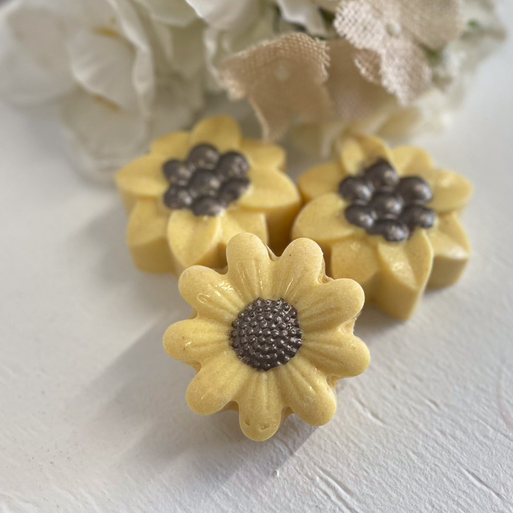 Sunwashed Himalayan Salt Artisan Soap