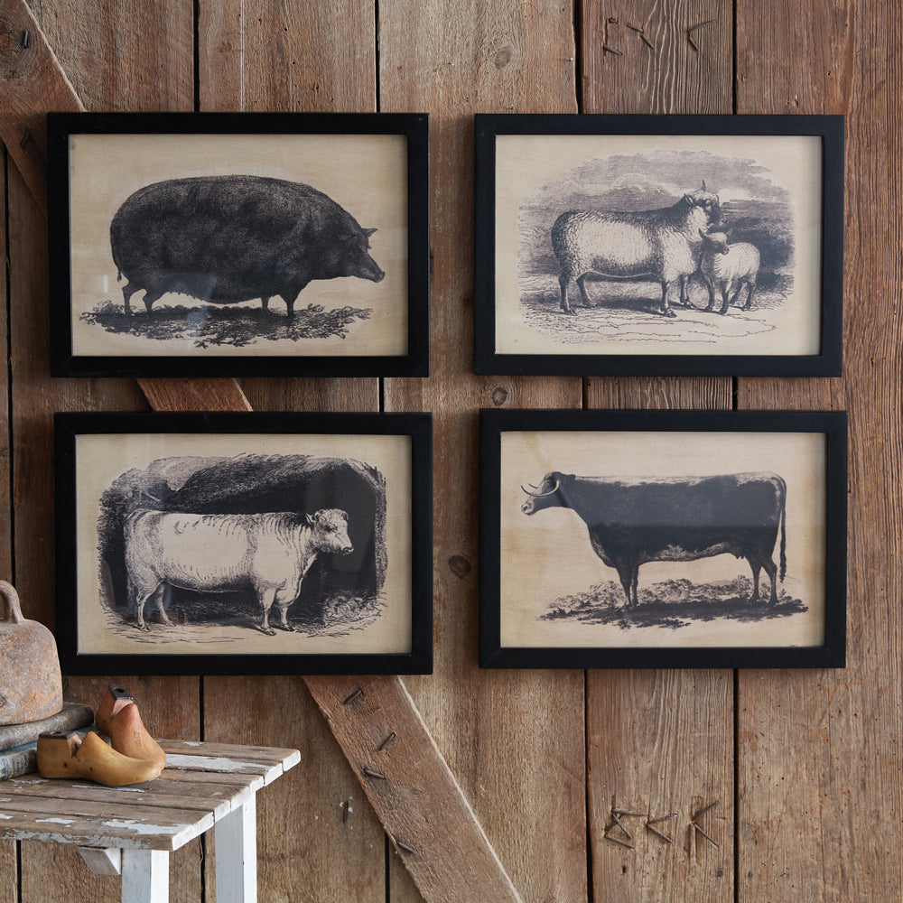 Homestead Framed Bull Canvas