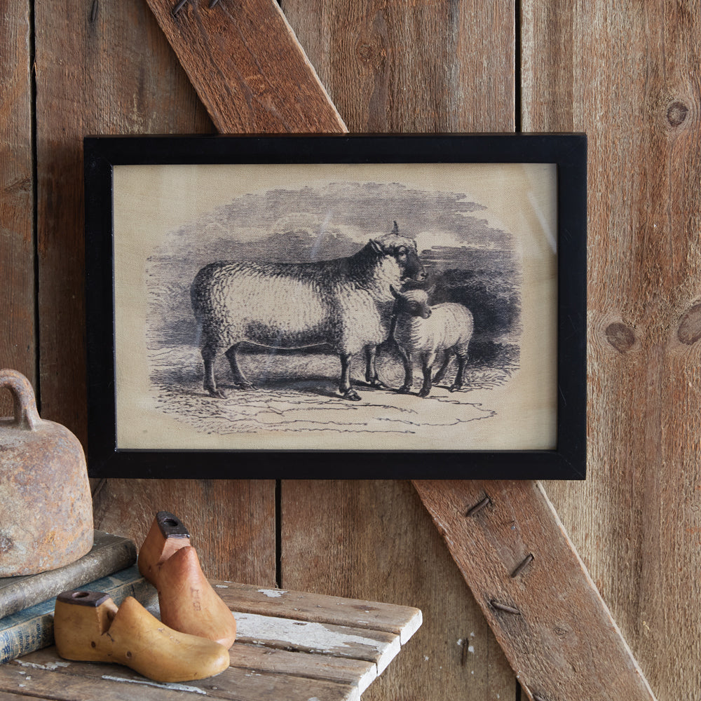 Homestead Framed Lambs Canvas