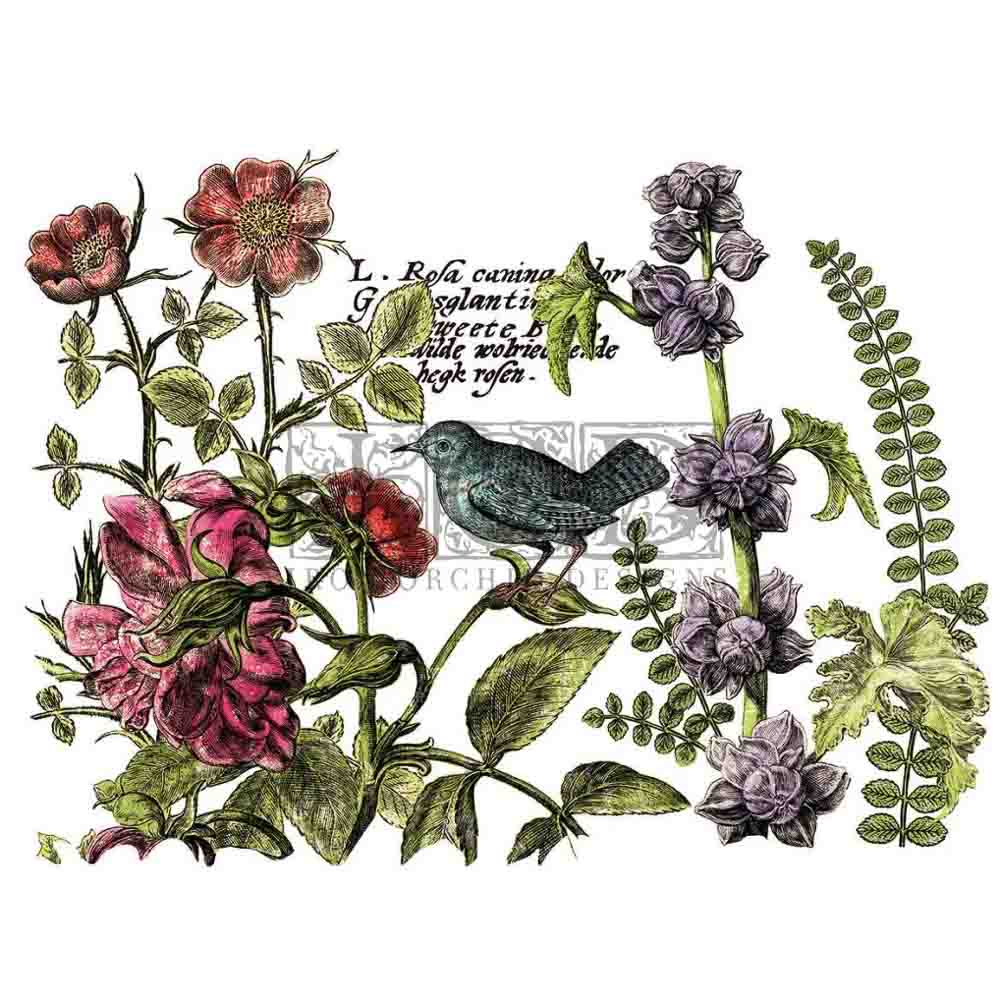 IOD Botanist's Journal Decor Transfer - Iron Orchid Designs