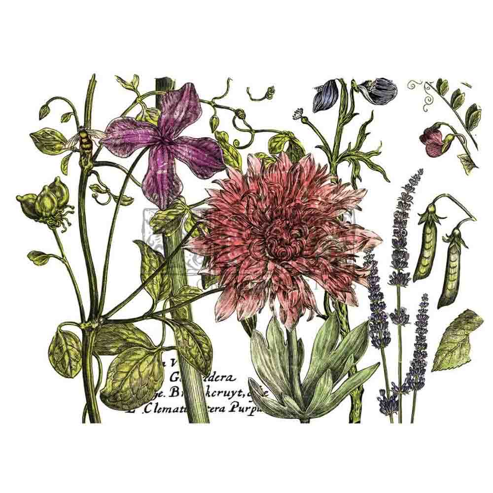 IOD Botanist's Journal Decor Transfer - Iron Orchid Designs