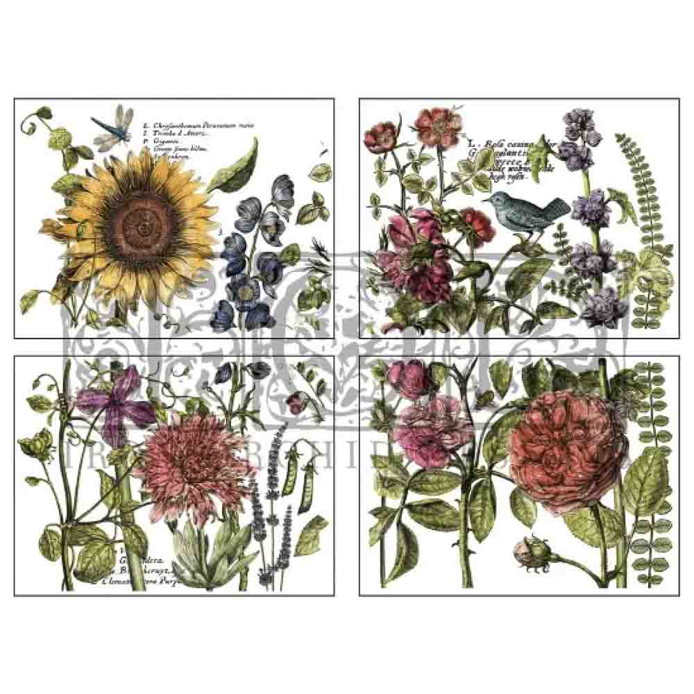 IOD Botanist's Journal Decor Transfer - Iron Orchid Designs