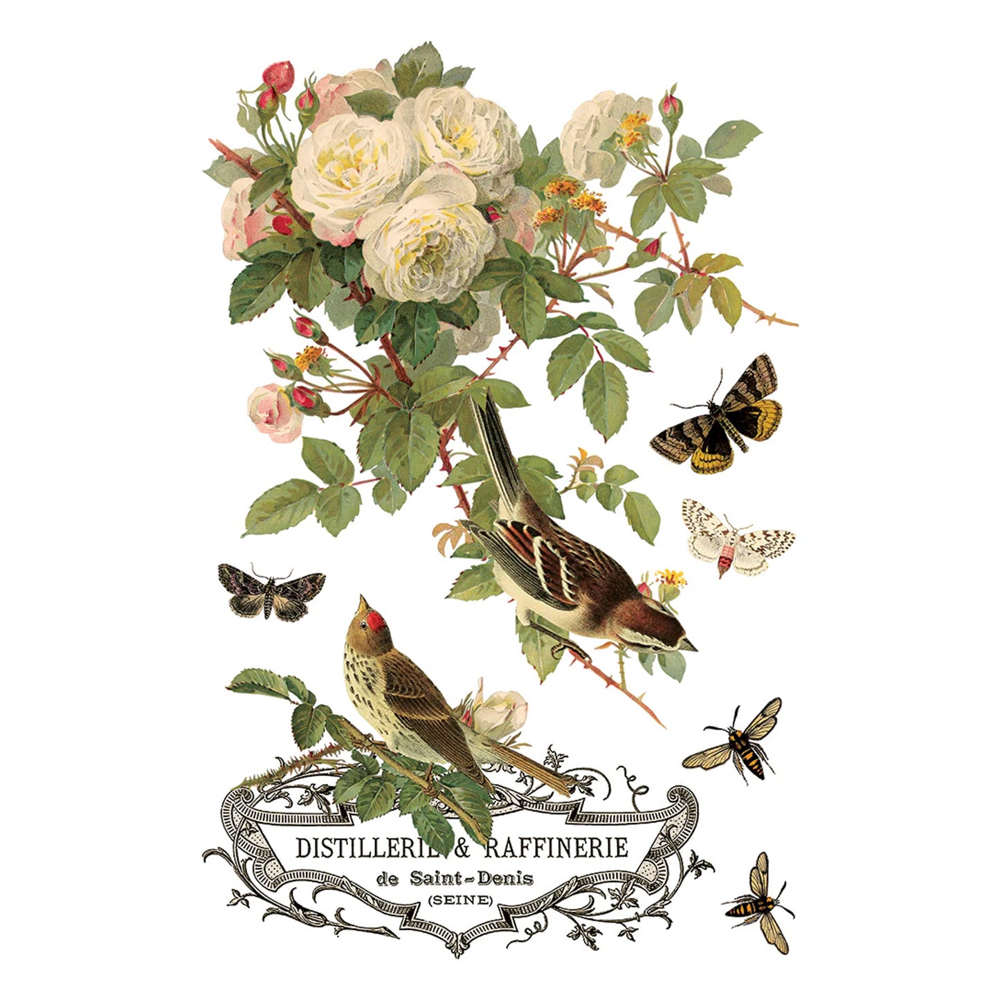 IOD By Any Other Name Decor Transfer - Iron Orchid Designs