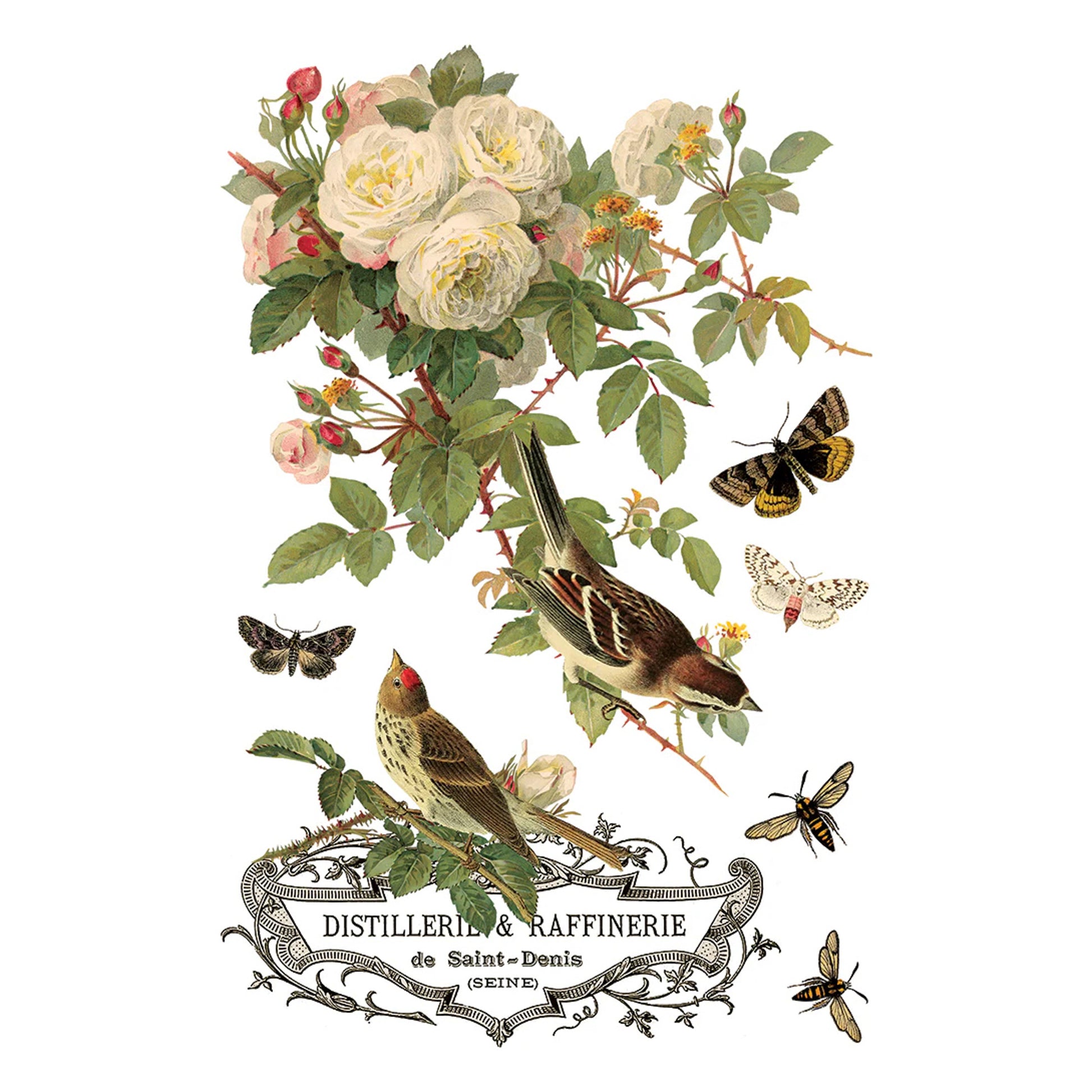 IOD By Any Other Name Decor Transfer - Iron Orchid Designs