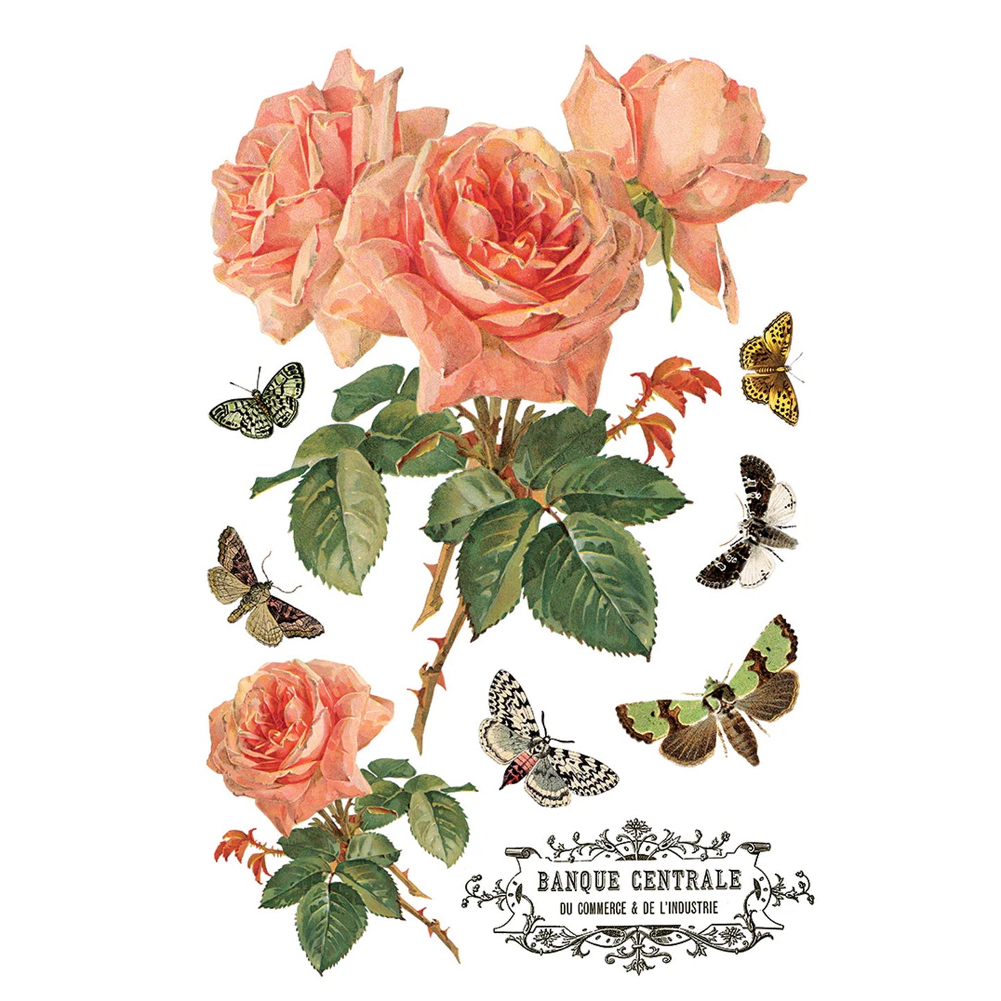 IOD By Any Other Name Decor Transfer - Iron Orchid Designs