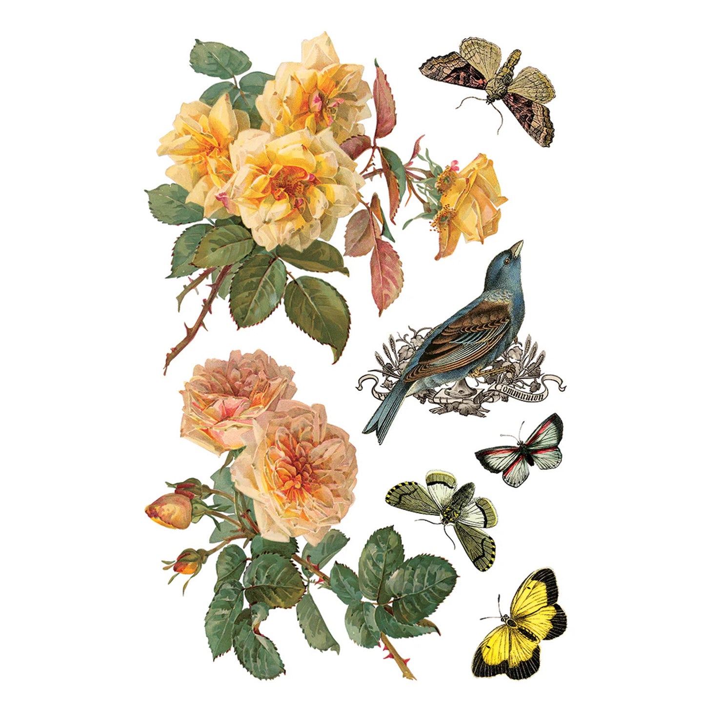 IOD By Any Other Name Decor Transfer - Iron Orchid Designs