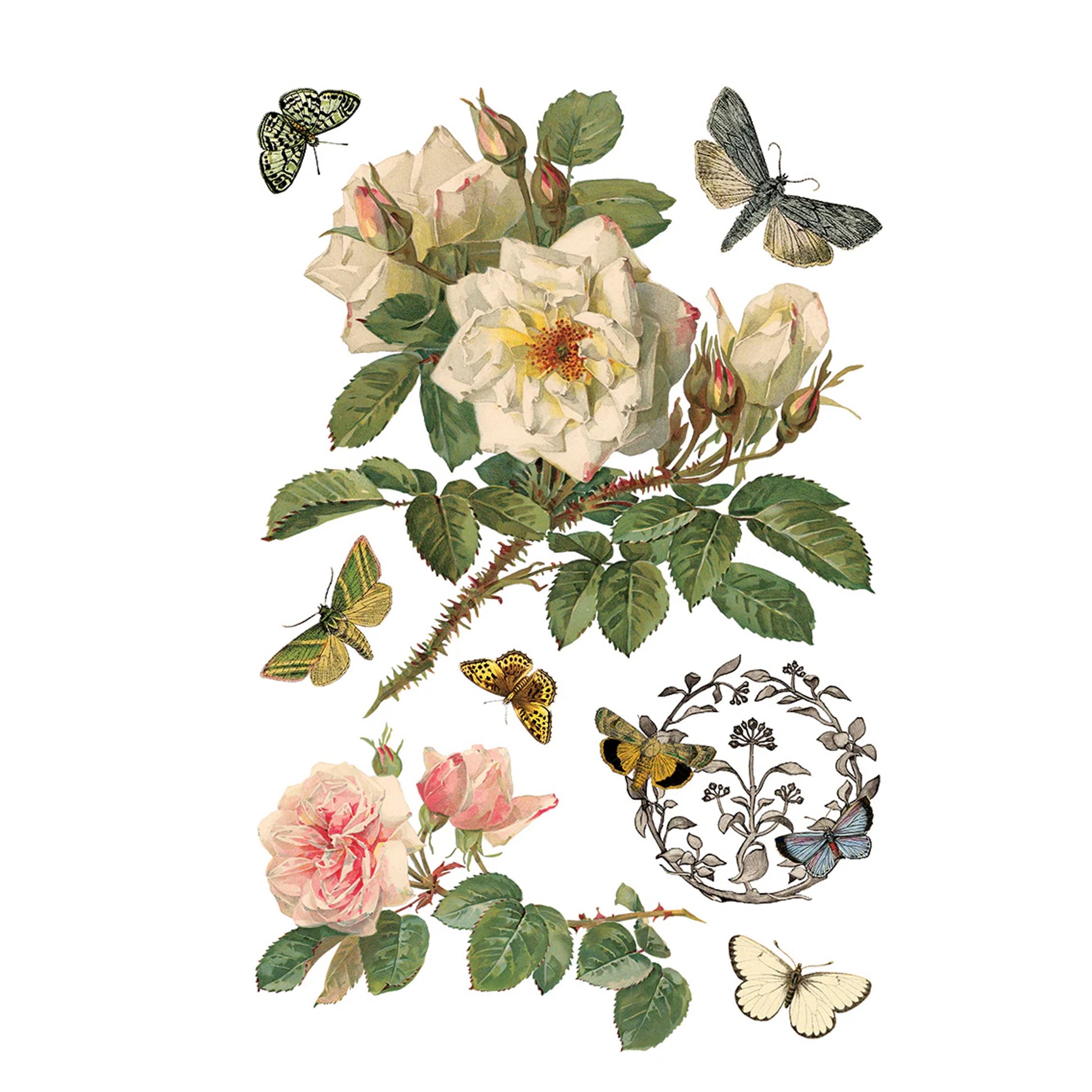 IOD By Any Other Name Decor Transfer - Iron Orchid Designs