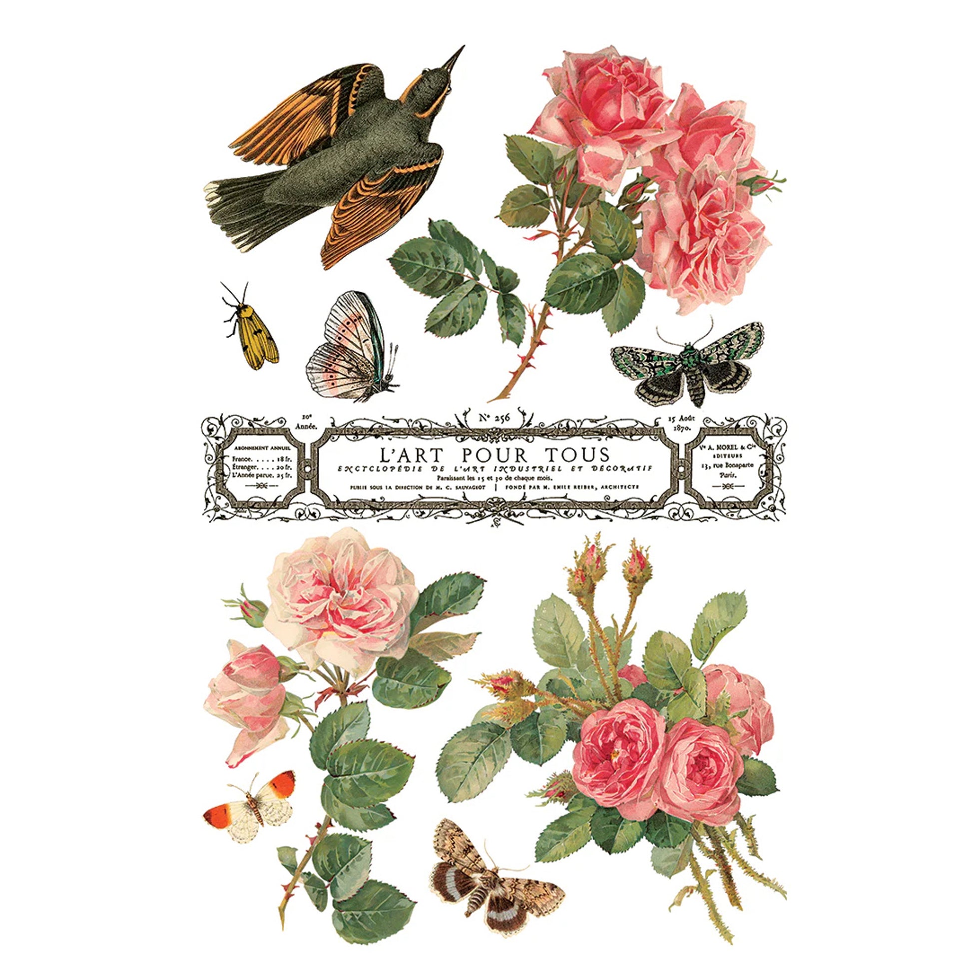 IOD By Any Other Name Decor Transfer - Iron Orchid Designs