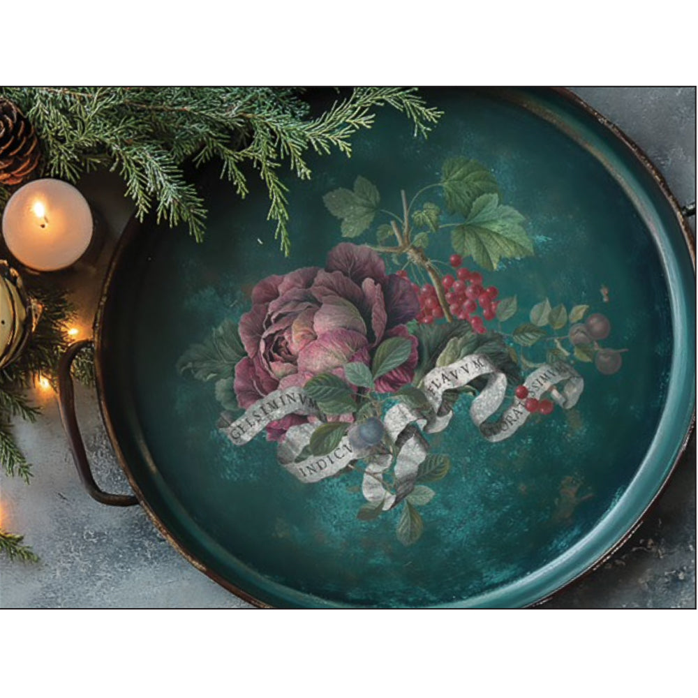 IOD Clementine Decor Transfer - Iron Orchid Designs | Limited Edition