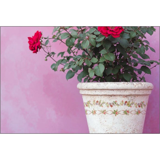 IOD Ditsy Blooms Paint Inlay - Iron Orchid Designs