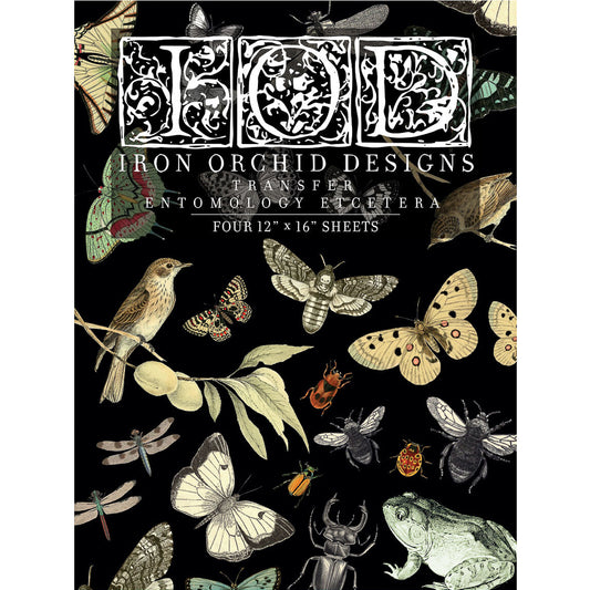 IOD Entomology Etcetera Decor Transfer - Iron Orchid Designs