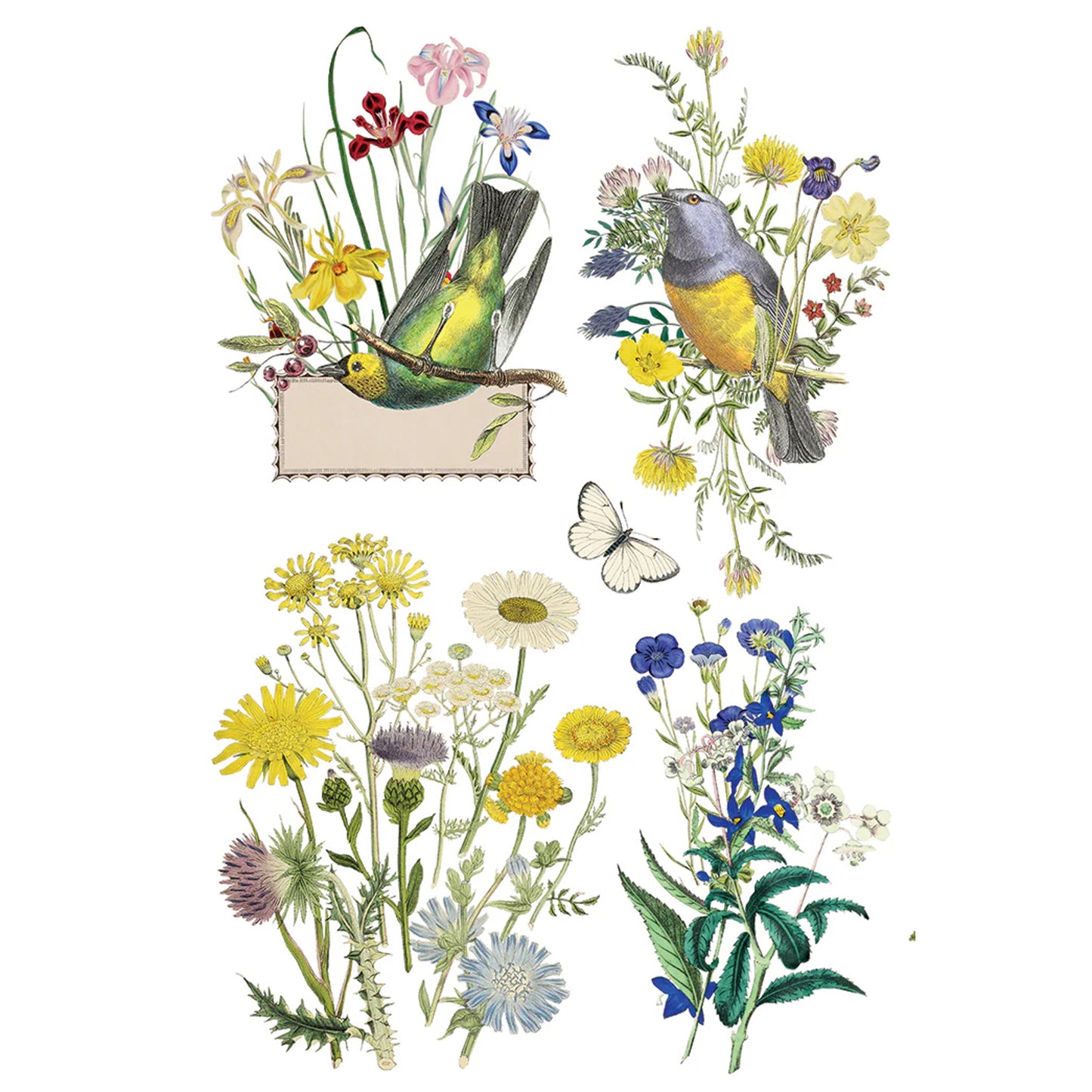 IOD Flora Greca Decor Transfer - Iron Orchid Designs