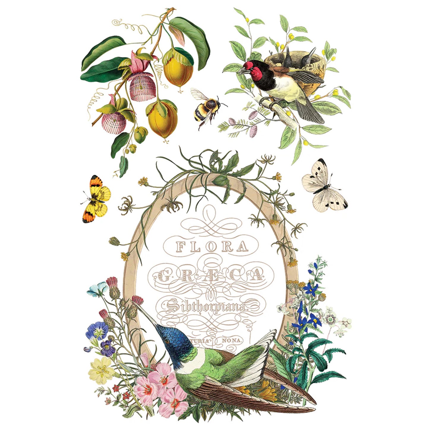 IOD Flora Greca Decor Transfer - Iron Orchid Designs