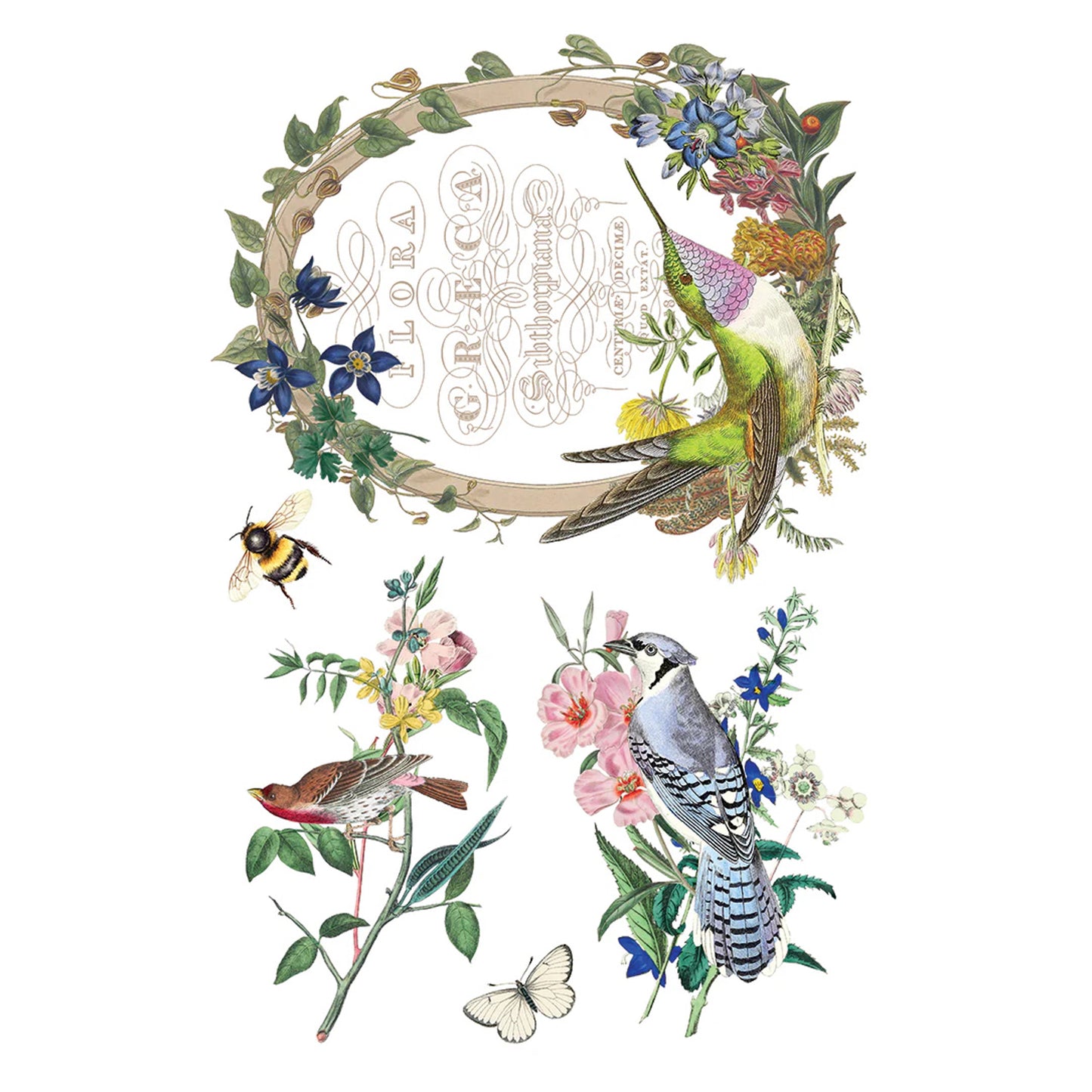 IOD Flora Greca Decor Transfer - Iron Orchid Designs