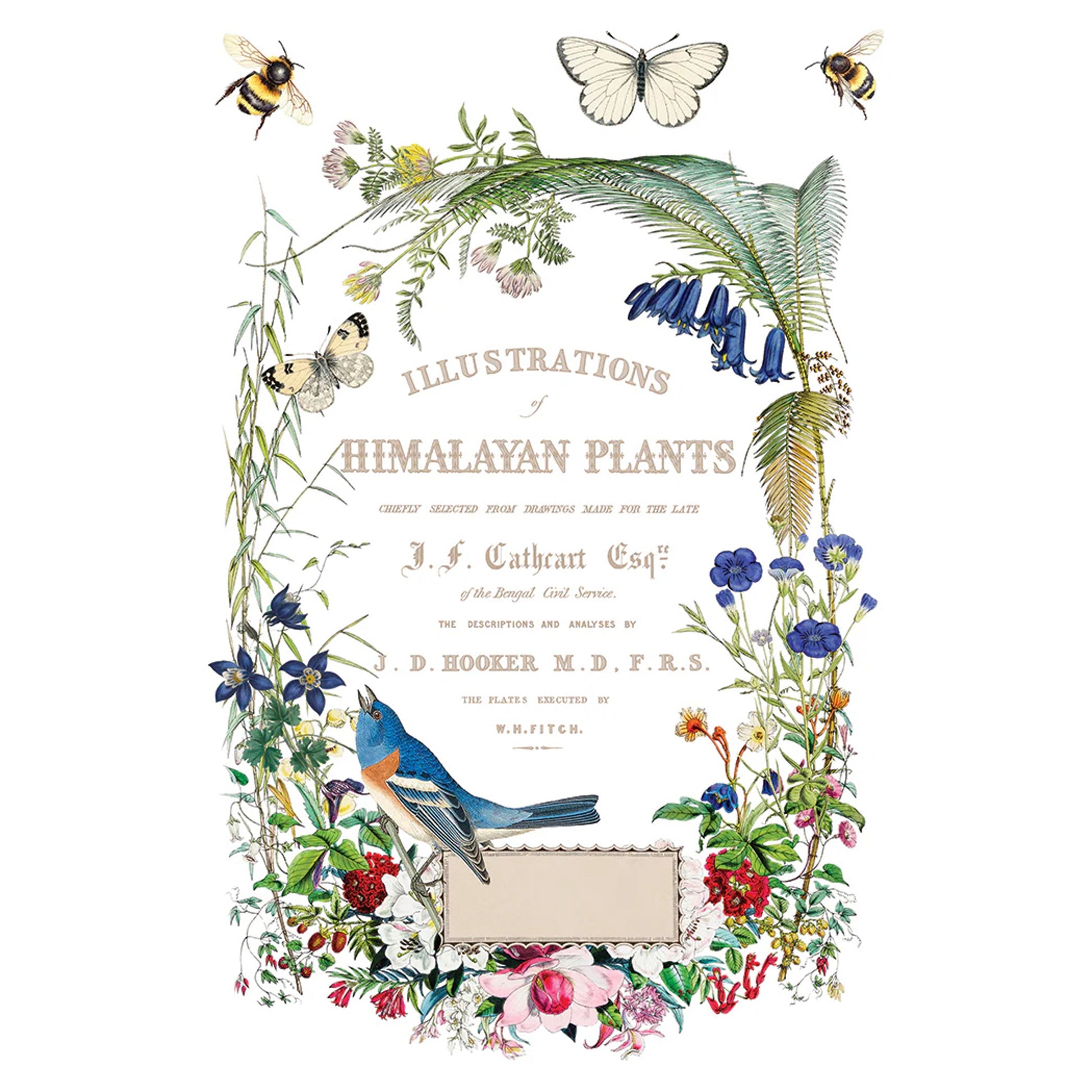 IOD Flora Greca Decor Transfer - Iron Orchid Designs