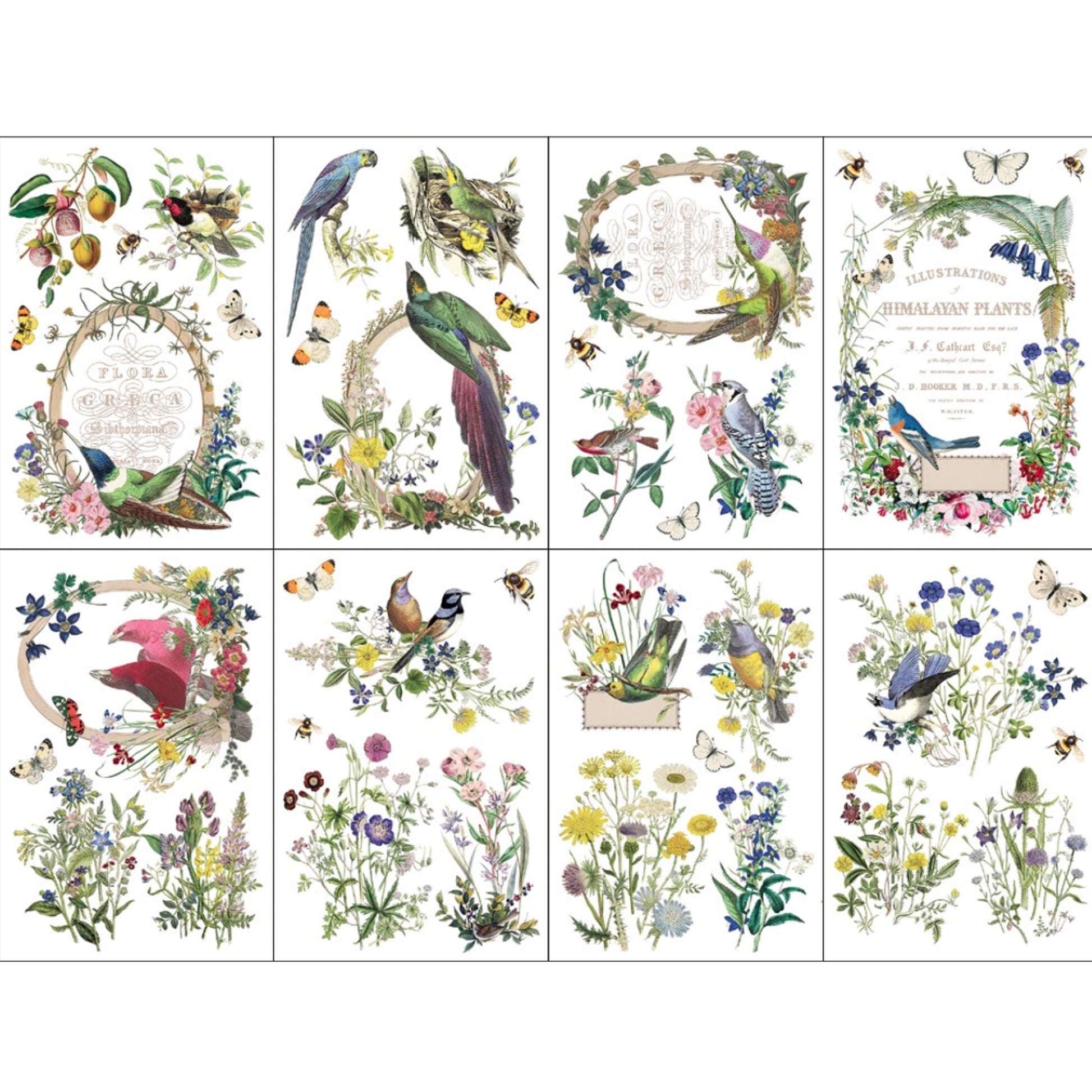 IOD Flora Greca Decor Transfer - Iron Orchid Designs