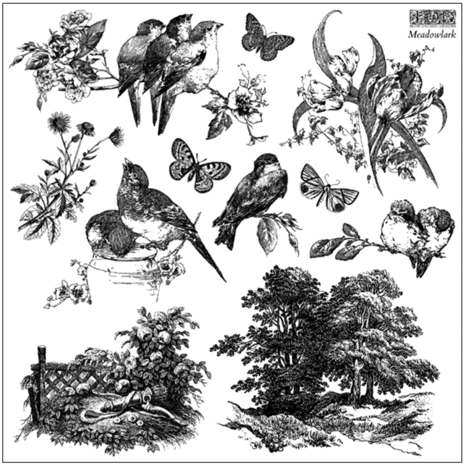 IOD Meadowlark Decor Stamp - Iron Orchid Designs