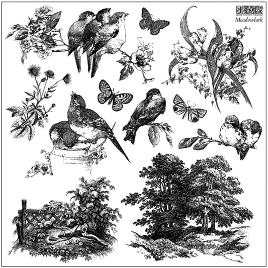 IOD Meadowlark Decor Stamp - Iron Orchid Designs