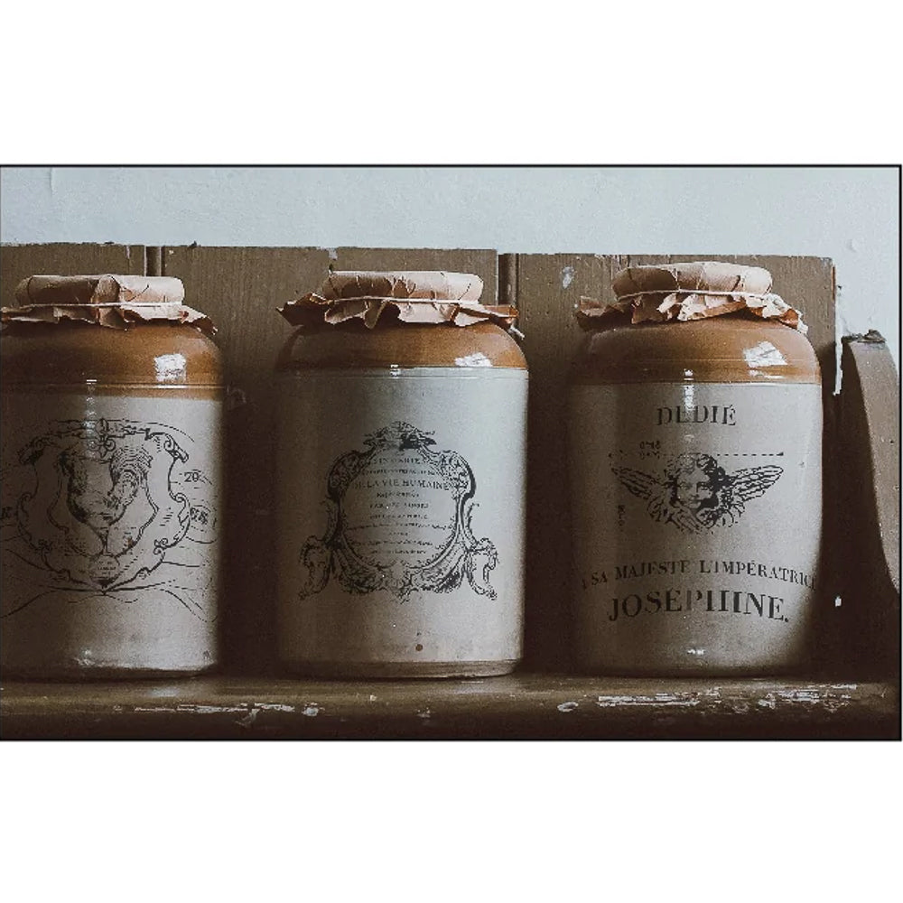 IOD Traditional Pots Decor Transfer - Iron Orchid Designs