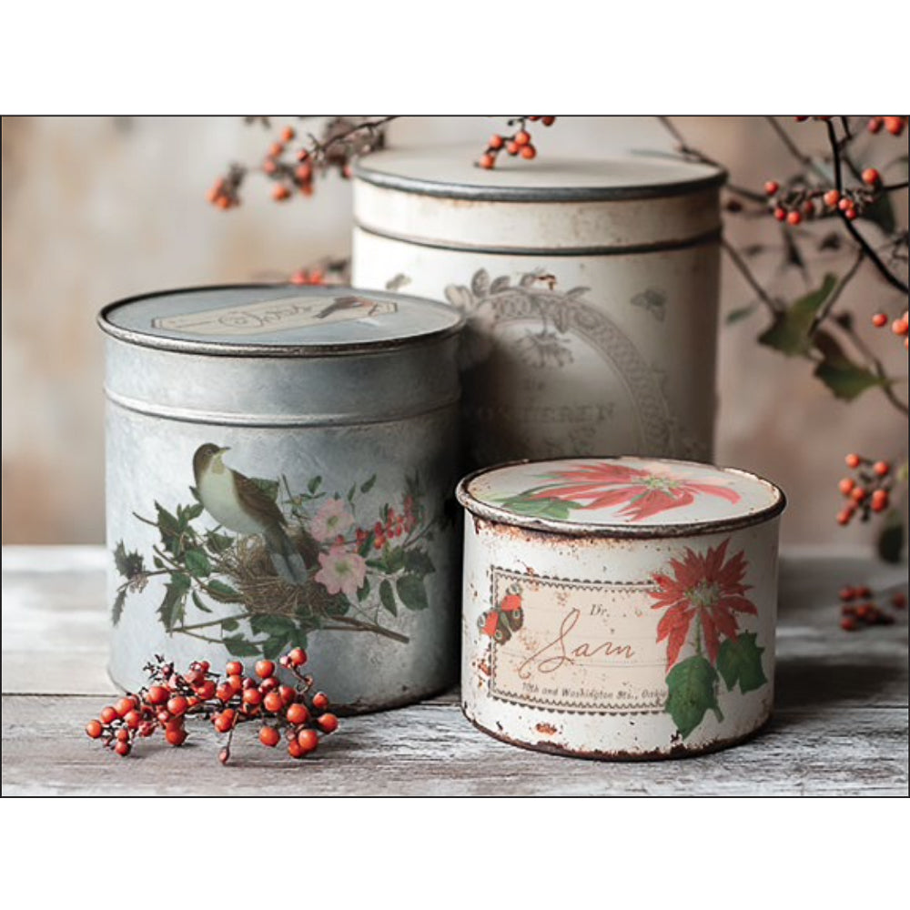 IOD Winter Botanist Decor Transfer - Iron Orchid Designs | Limited Edition