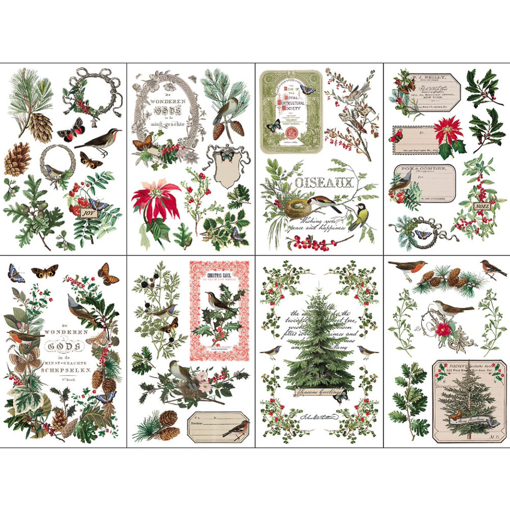 IOD Winter Botanist Decor Transfer - Iron Orchid Designs | Limited Edition