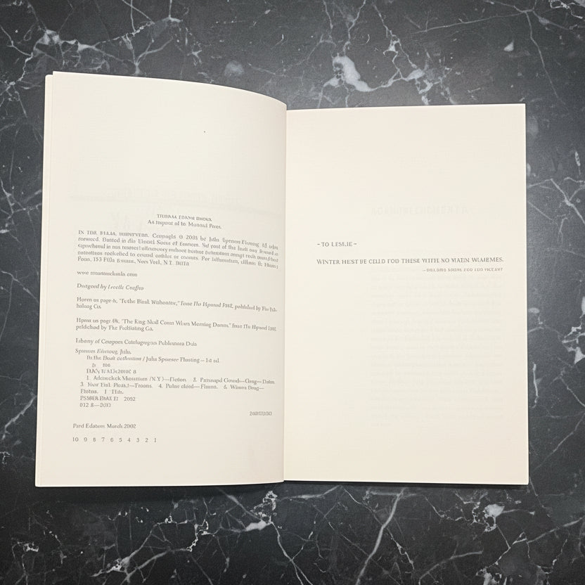 2002 In The Bleak Midwinter - Julia Spencer-Flemming