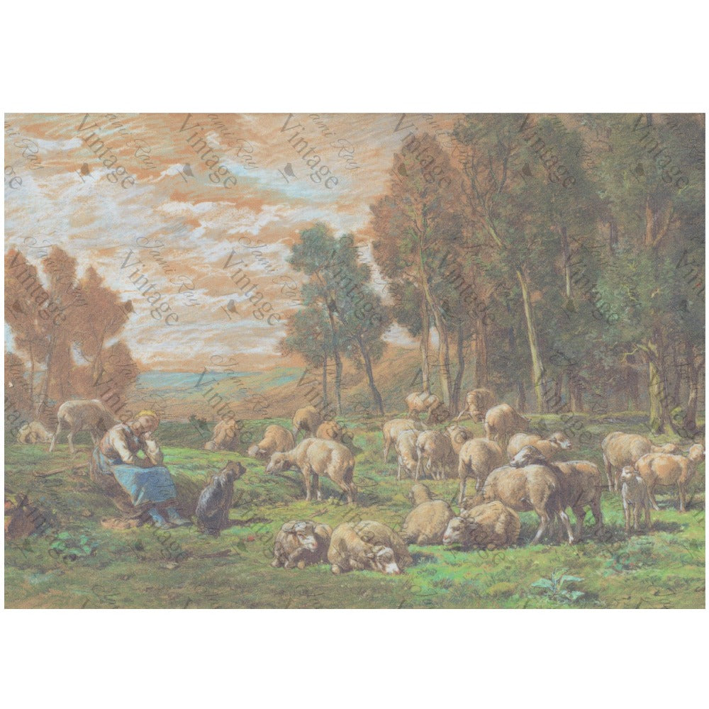 JRV A4 Rice Paper - Pastoral Sheep