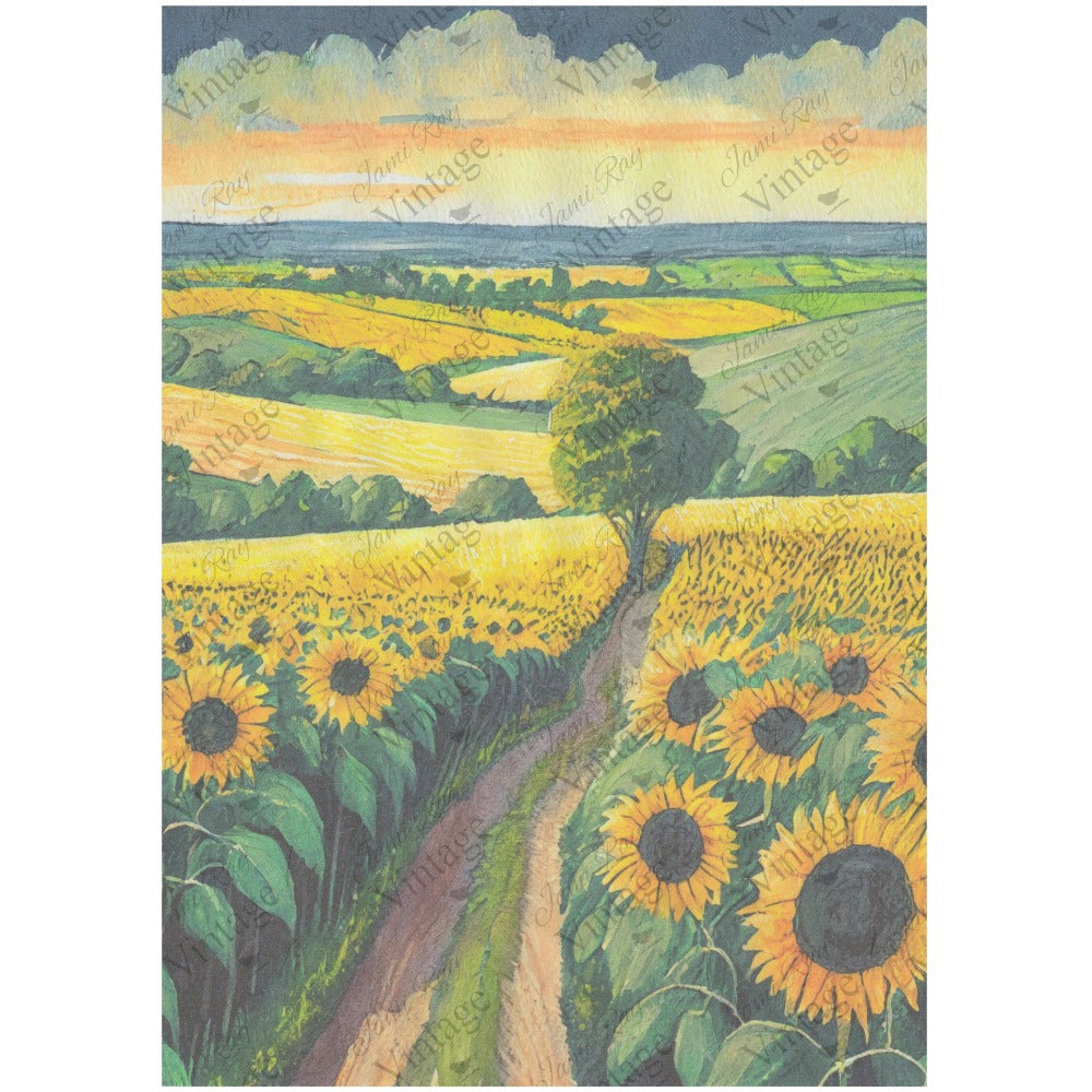 Sunflower Fields A4 Rice Paper - JRV | Made in USA – Stockton Farm