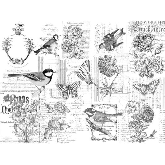 Paintable Botanical Decoupage Paper - Roycycled Treasures