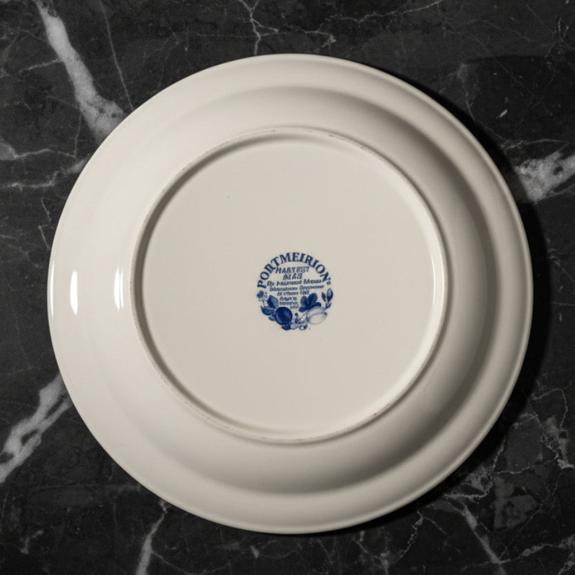 Vintage Portmeirion Harvest Blue Salad Plates Set of 2 | England 1995