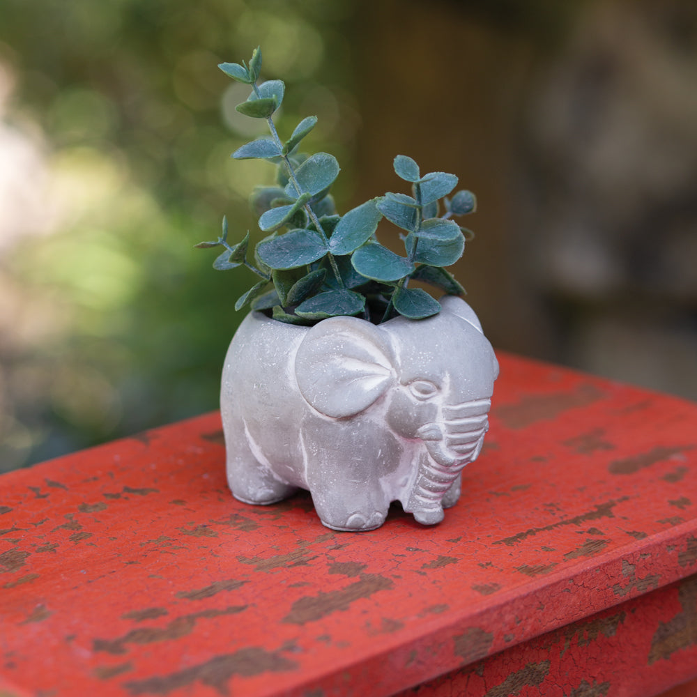 Small Cement Elephant Pot - Set of 2