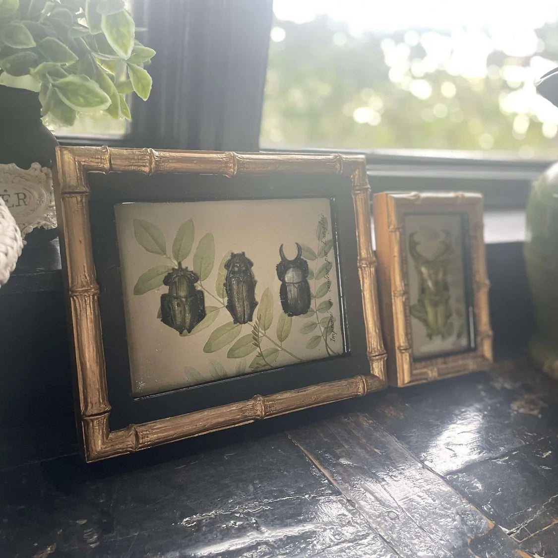 IOD Specimens Decor Mould - Iron Orchid Designs