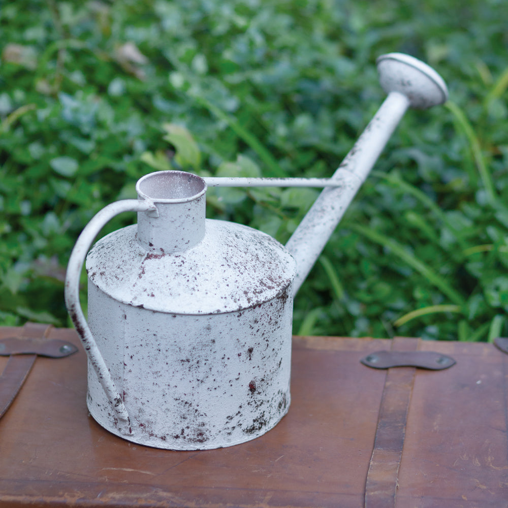 Speckled Rose Watering Can