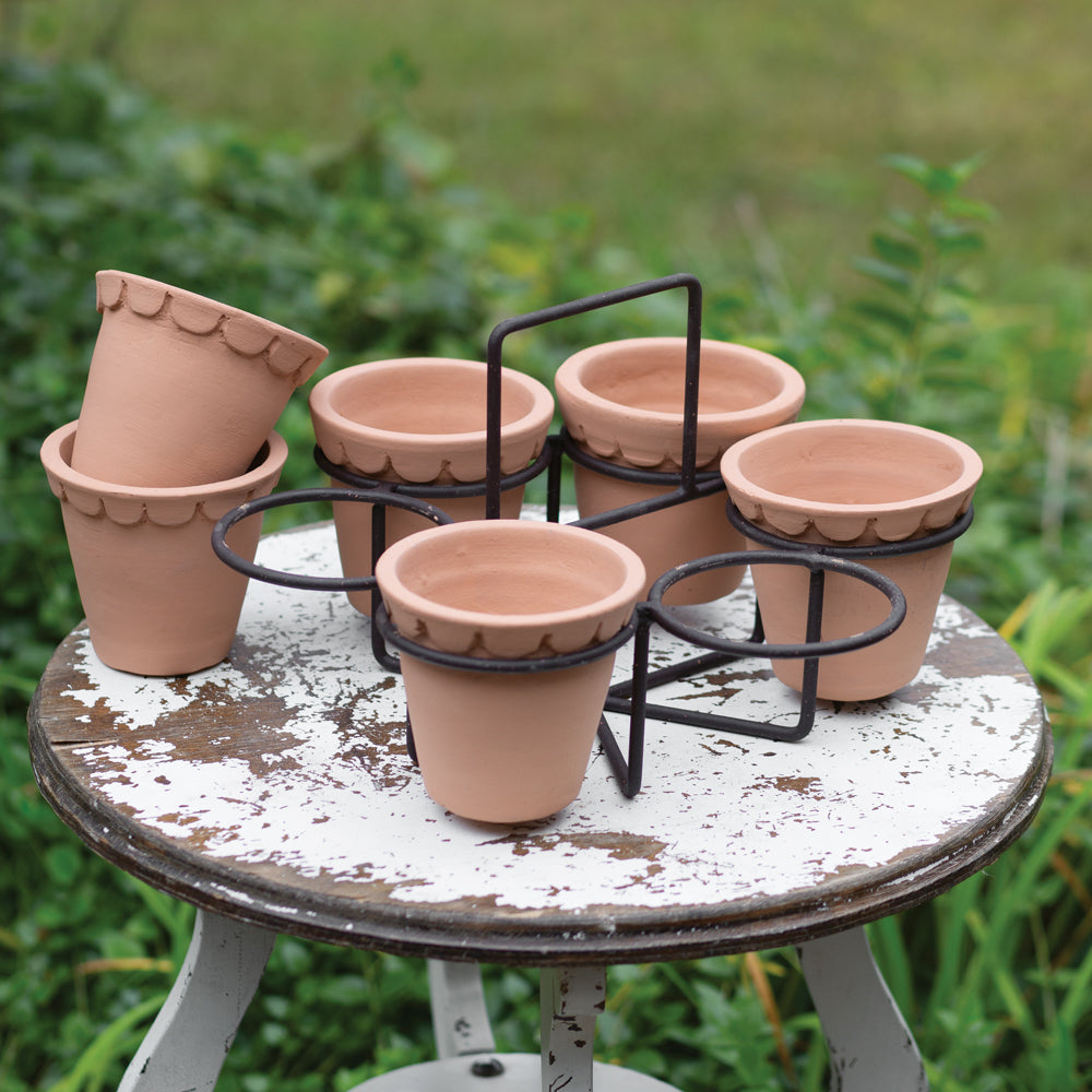 Terracotta Pots and Caddy