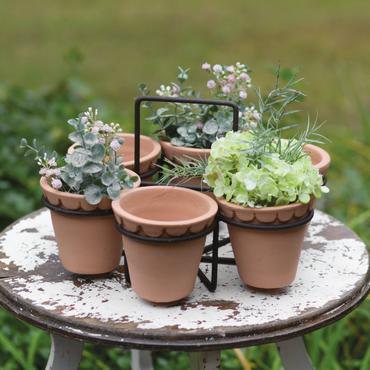 Terracotta Pots and Caddy